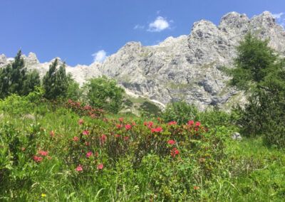 TREKKING: Dolomiti di Brenta – il giro dei rifugi