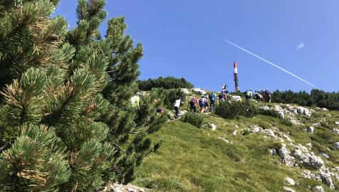 Activity Trentino | Active holiday in the Dolomites | Trekking