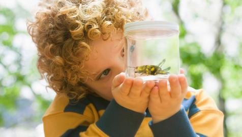 Activity Trentino | Vacanza attiva nelle Dolomiti | Kids summer